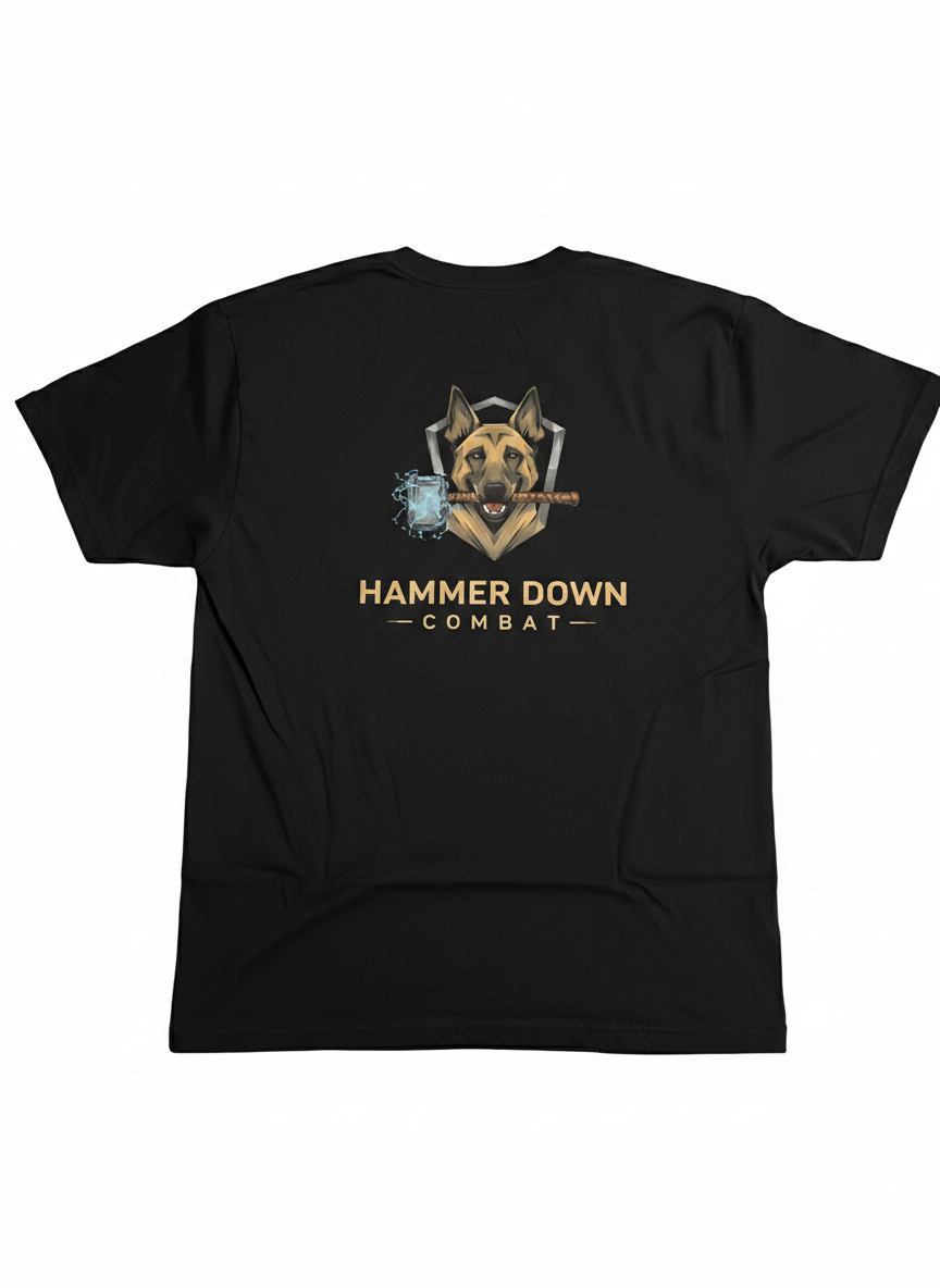 HAMMER DOWN COMBAT